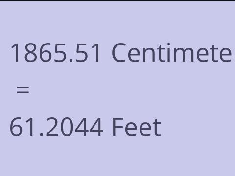 1865.51 CM TO FEET