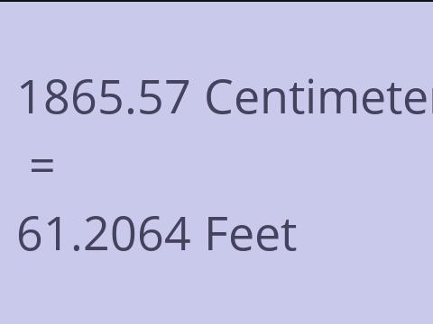 1865.57 CM TO FEET