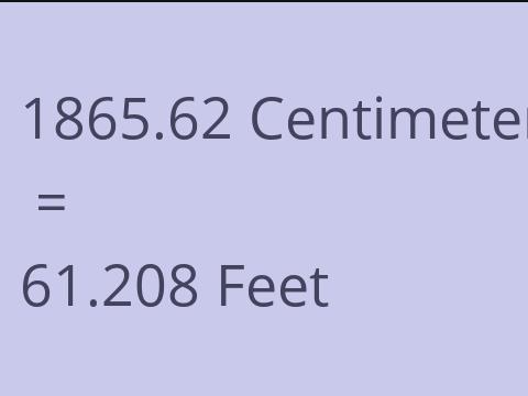 1865.62 CM TO FEET