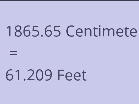 1865.65 CM TO FEET