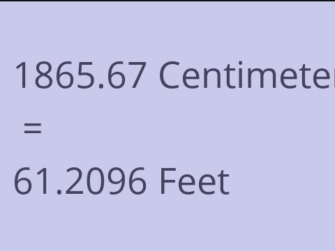 1865.67 CM TO FEET