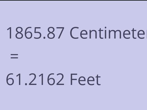 1865.87 CM TO FEET