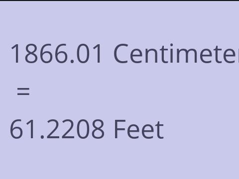 1866.01 CM TO FEET