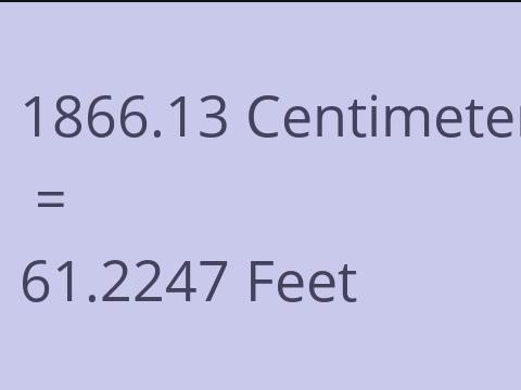 1866.13 CM TO FEET