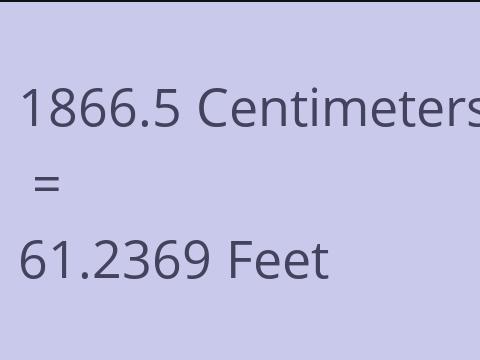 1866.5 CM TO FEET