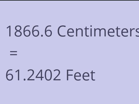 1866.6 CM TO FEET