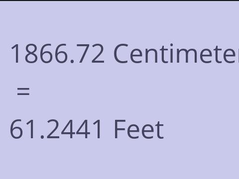 1866.72 CM TO FEET