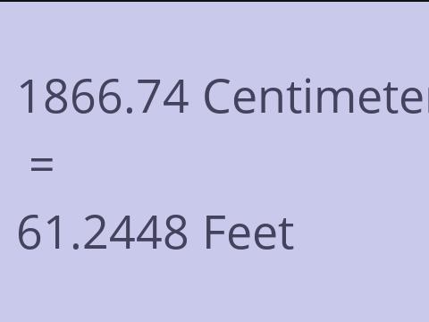 1866.74 CM TO FEET