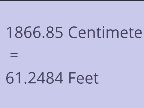 1866.85 CM TO FEET