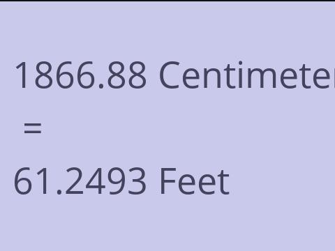 1866.88 CM TO FEET