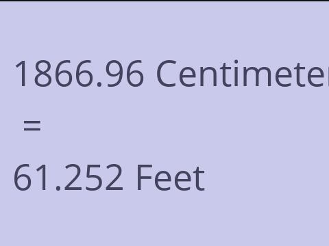 1866.96 CM TO FEET