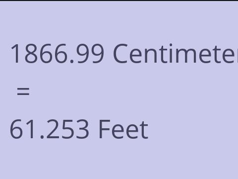 1866.99 CM TO FEET