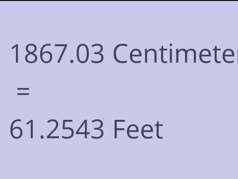 1867.03 CM TO FEET