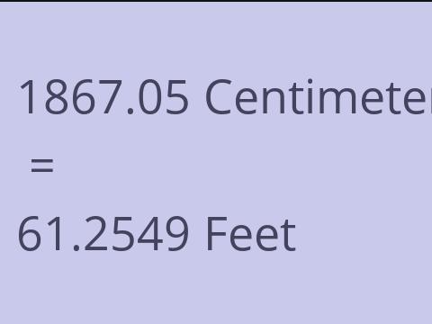 1867.05 CM TO FEET