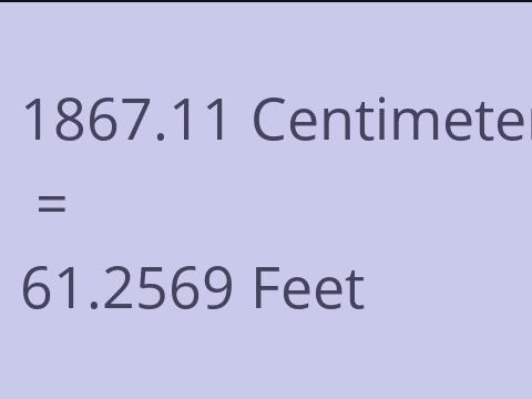 1867.11 CM TO FEET