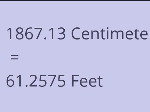 1867.13 CM TO FEET