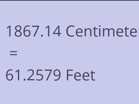 1867.14 CM TO FEET