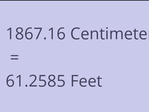 1867.16 CM TO FEET