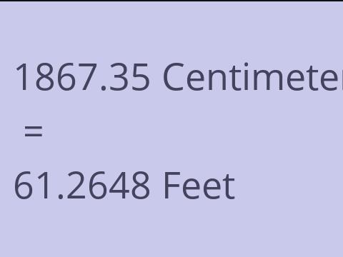 1867.35 CM TO FEET