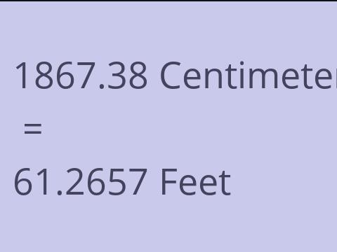 1867.38 CM TO FEET