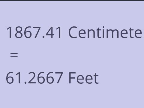 1867.41 CM TO FEET