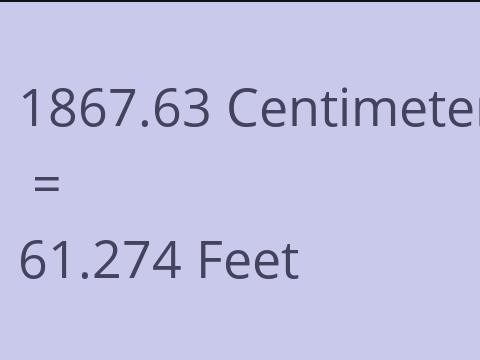 1867.63 CM TO FEET