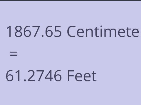 1867.65 CM TO FEET