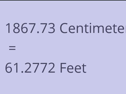 1867.73 CM TO FEET