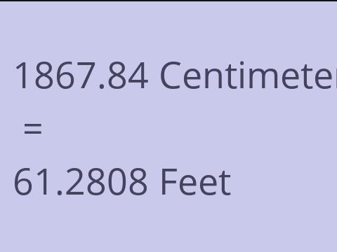 1867.84 CM TO FEET