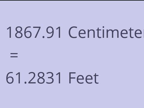 1867.91 CM TO FEET