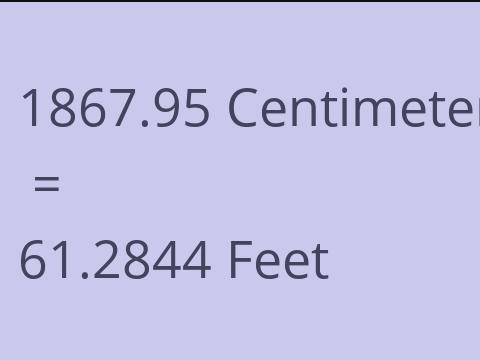 1867.95 CM TO FEET