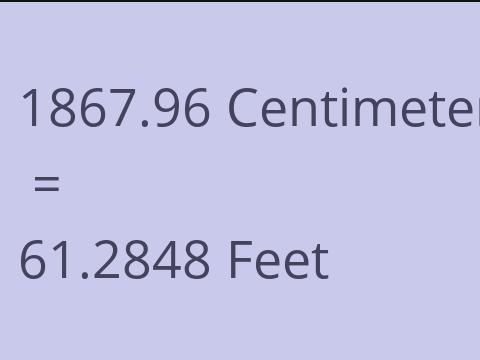 1867.96 CM TO FEET