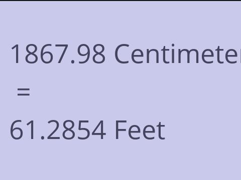 1867.98 CM TO FEET