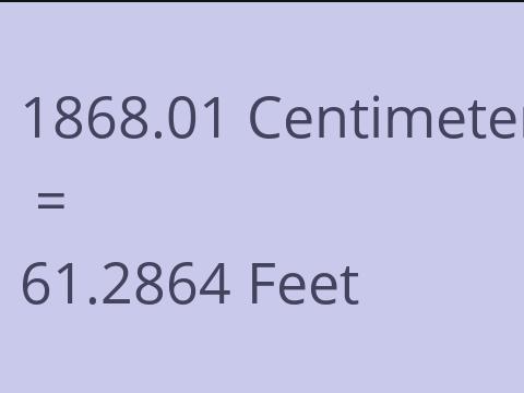 1868.01 CM TO FEET