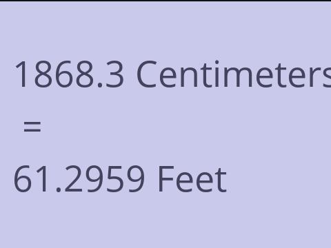 1868.3 CM TO FEET