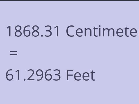 1868.31 CM TO FEET