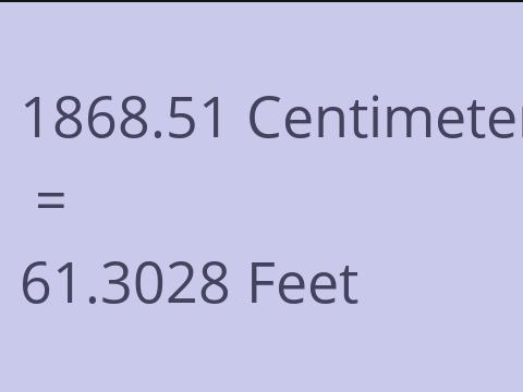 1868.51 CM TO FEET