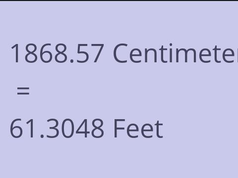 1868.57 CM TO FEET