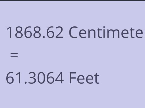 1868.62 CM TO FEET