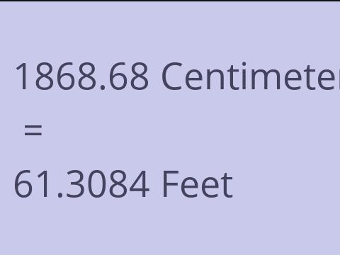 1868.68 CM TO FEET