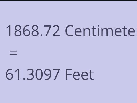 1868.72 CM TO FEET