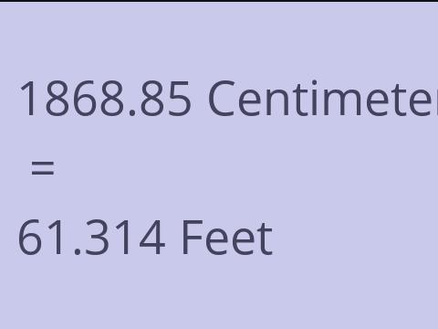 1868.85 CM TO FEET