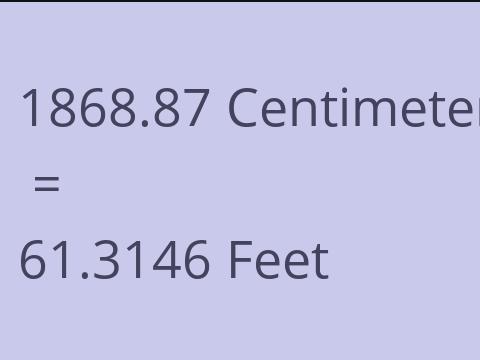 1868.87 CM TO FEET