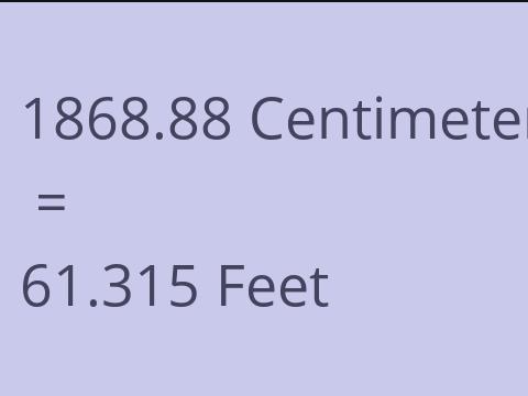 1868.88 CM TO FEET