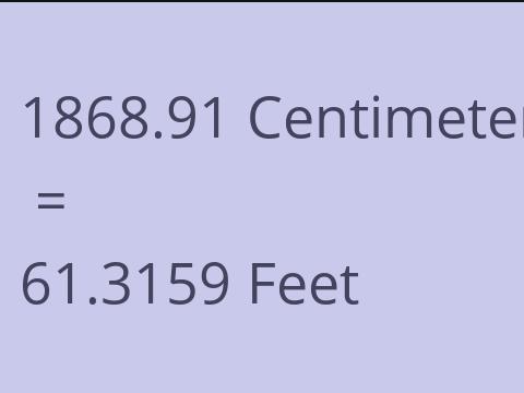 1868.91 CM TO FEET