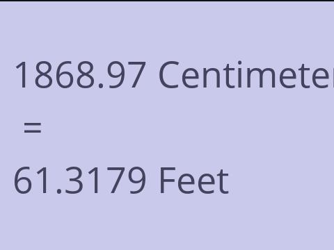 1868.97 CM TO FEET