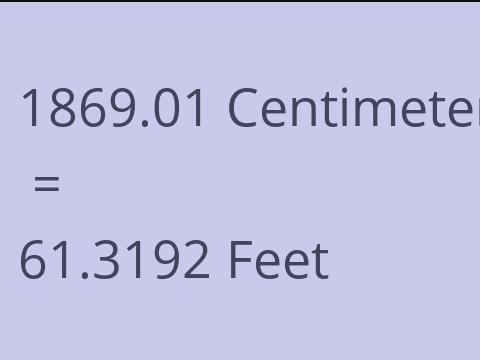 1869.01 CM TO FEET