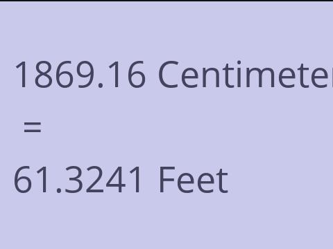 1869.16 CM TO FEET