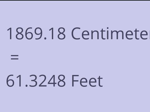 1869.18 CM TO FEET