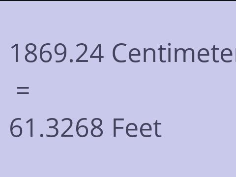 1869.24 CM TO FEET